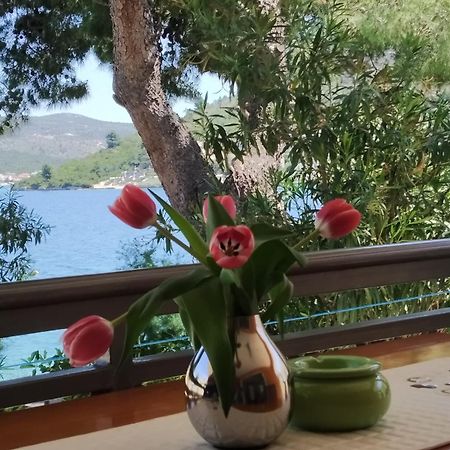 Holiday Home Milenka Rogoznica  Zewnętrze zdjęcie
