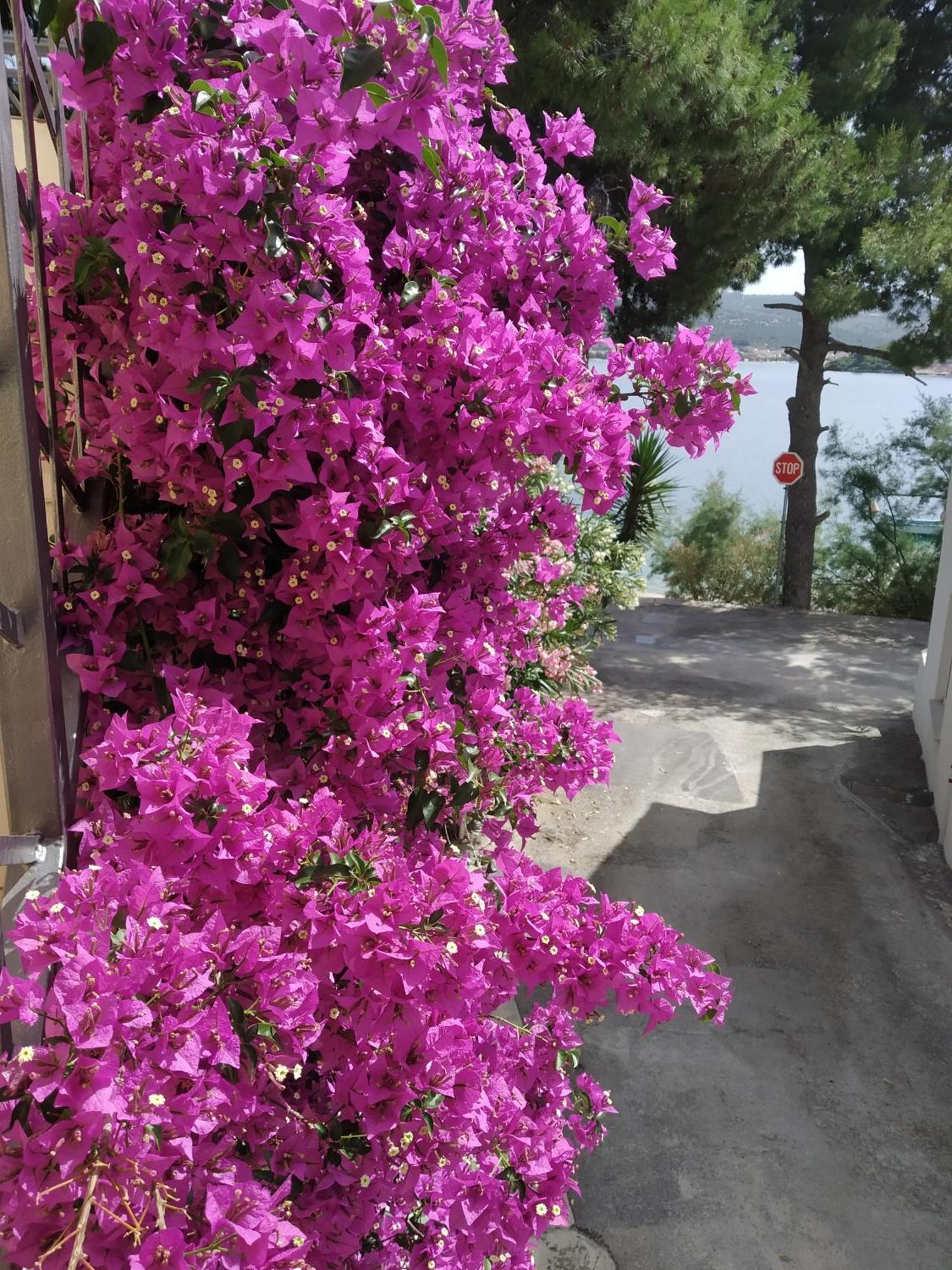 Holiday Home Milenka Rogoznica  Zewnętrze zdjęcie