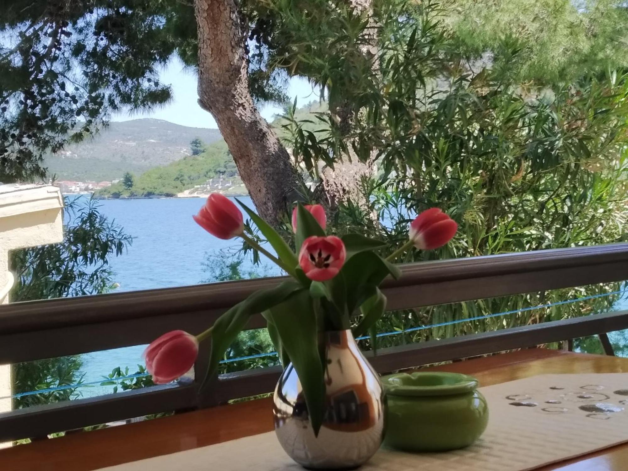 Holiday Home Milenka Rogoznica  Zewnętrze zdjęcie